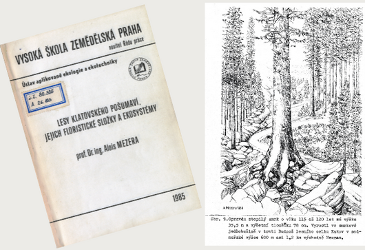 Lesy klatovského Pošumaví, jejich floristické složky a ekosystémy – Alois Mezera