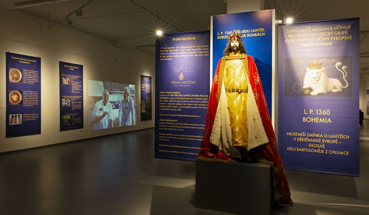 L. P. 1360: Češi jedli lanýže, Evropa byla na houbách L. P. 1360: Češi jedli lanýže, Evropa byla na houbách