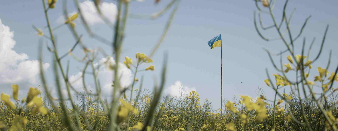Ukrajinská pole orná a válečná
