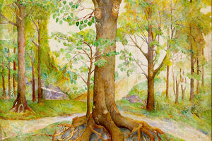 strom, autor Alois Mezera