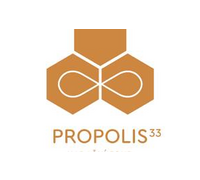 Nadační fond Propolis