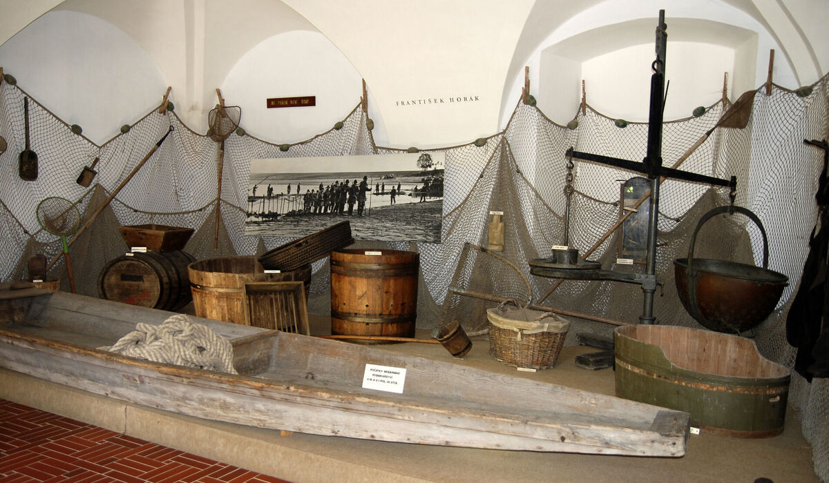 Fishing and Fisheries