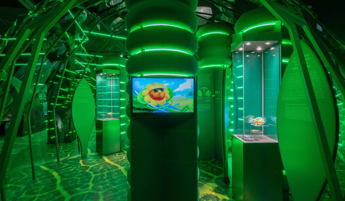 Exhibition Photosynthesis