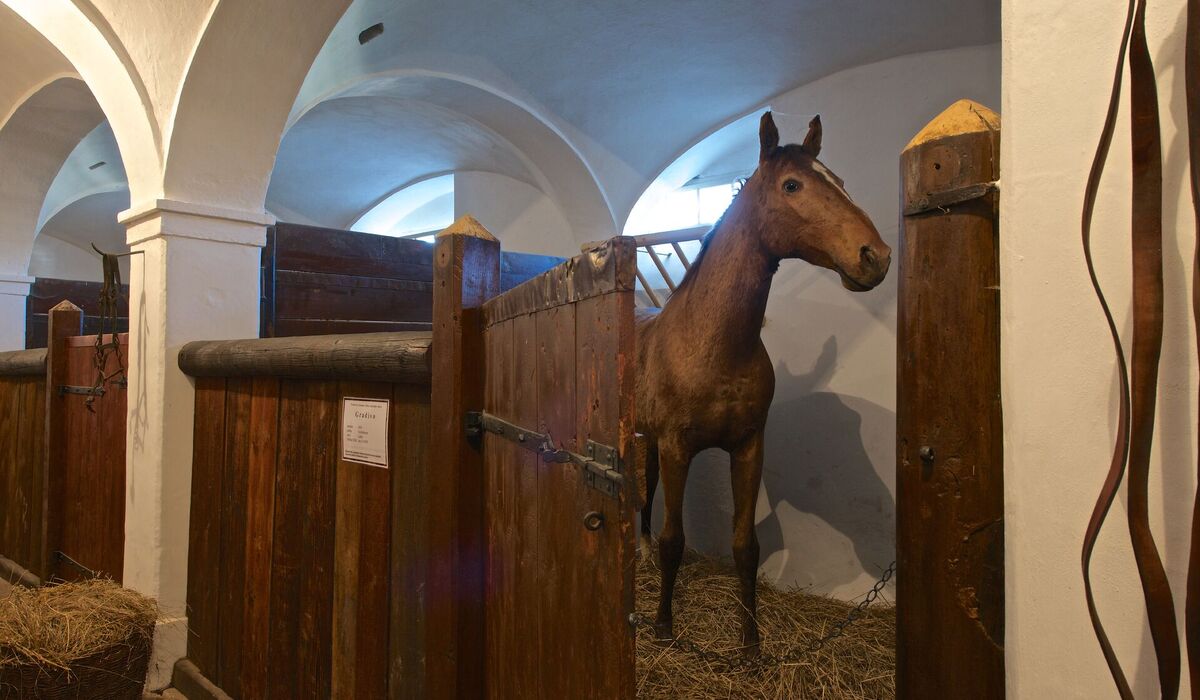 Chateau Stables