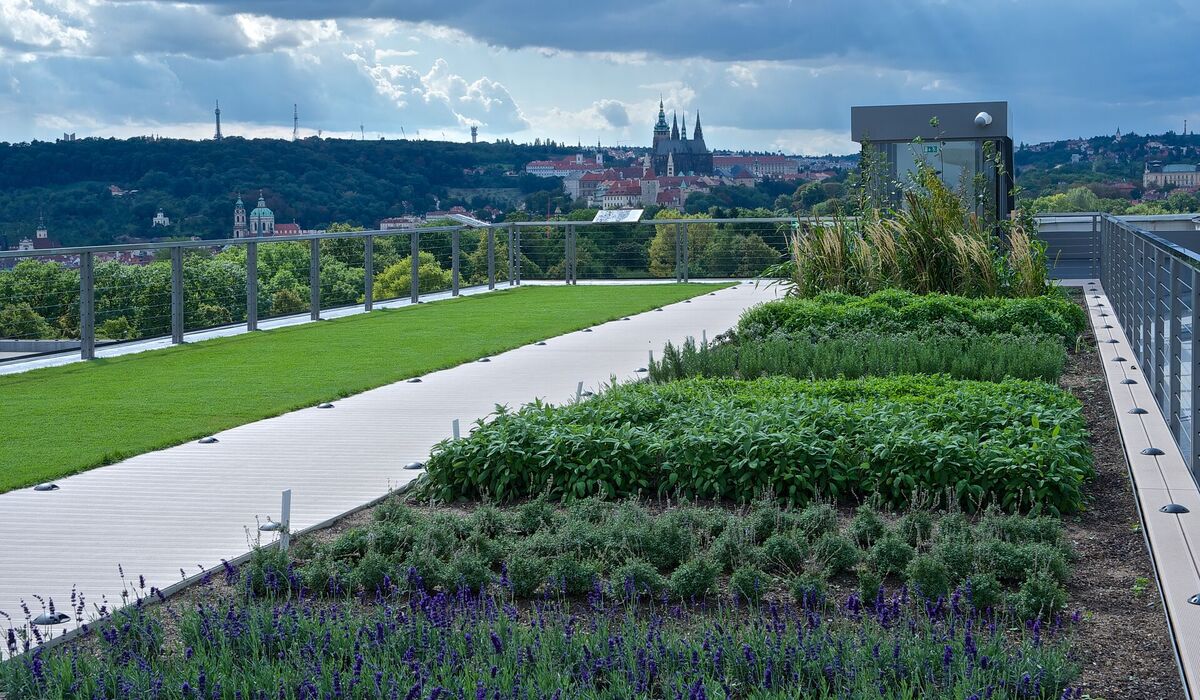 Views of Life – Roof Garden