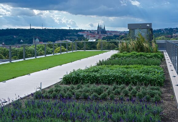NZM Prague