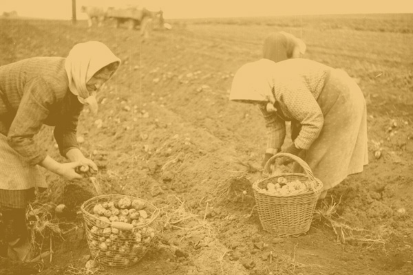 Come and celebrate 100 years of the National Museum of Agriculture with us