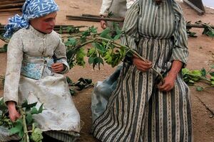 Historical diorama of a traditional hop field