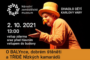 NZM Čáslav