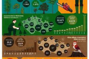 Naše lesy ve statistice. Zdroj: ČSÚ, Eurostat data za rok 2020.