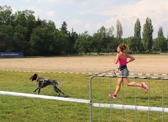 CaniKačinaCross 2025