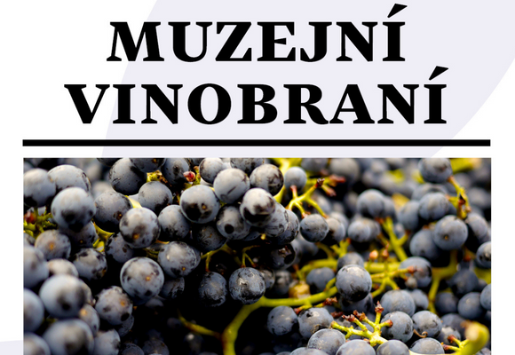 NZM Čáslav