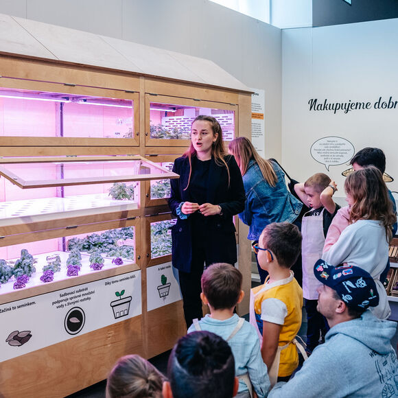 Hydroponické pěstování rostlin v NZM