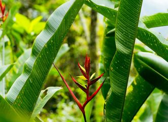 Muzeum kvete / Exotická návštěva na letních záhonech