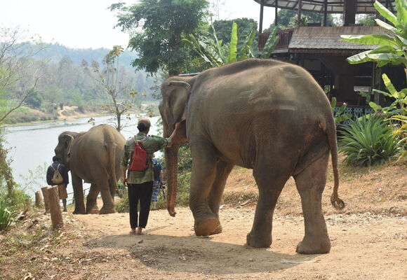 Laos – opravdová Asie (Makačíno)
