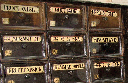 Olomoucké herbárium Krajinské lékárny a jeho materia medica v 19. a 20. století (Zprávy Vlastivědného muzea v Olomouci, 327/2024, Přírodní vědy)