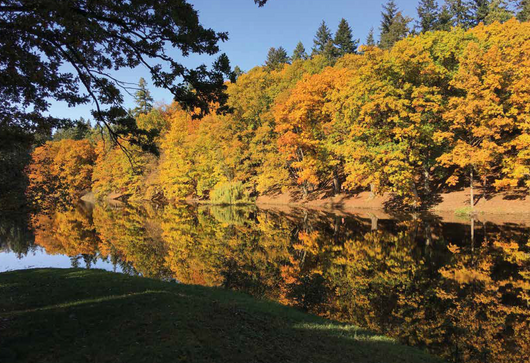 Soubory ke stažení