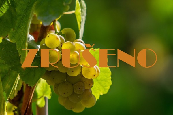Vinobraní v muzeu 2020