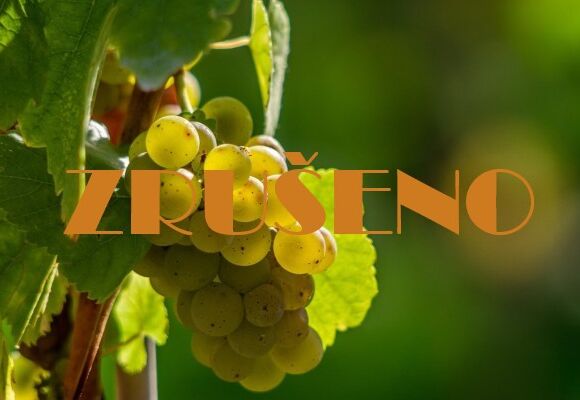 Vinobraní v muzeu 2020