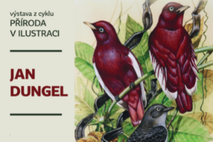 Výstava z cyklu Příroda v ilustraci – Jan Dungel
