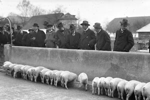 Ukryto v muzeu, výstava v NZM Kačina 