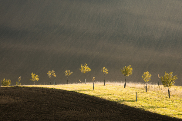 Přihlaste své fotografie do Czech Nature Photo 2019
