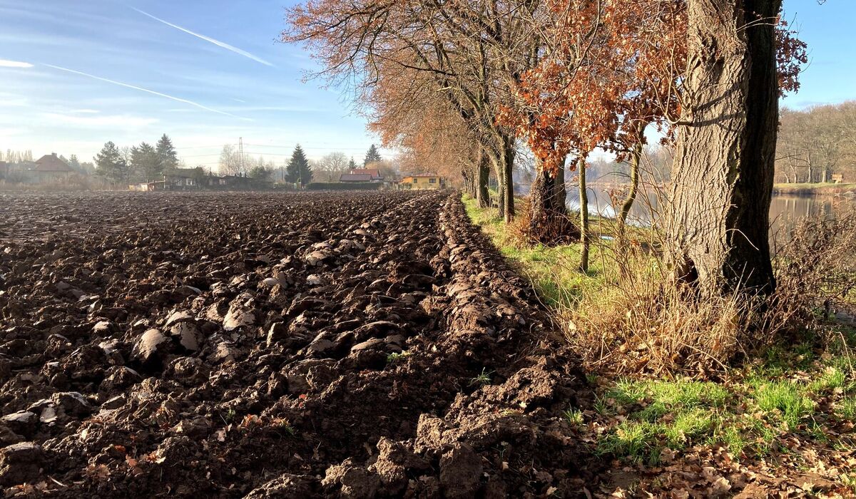 Výstava Ekologické zemědělství. Zodpovědná volba II