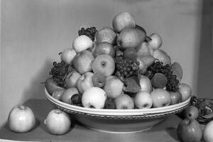 Ukryto v muzeu, výstava v NZM Kačina 