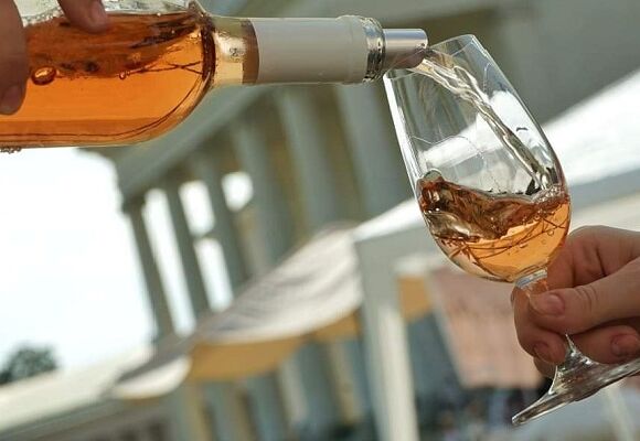 vinobraní na Kačině