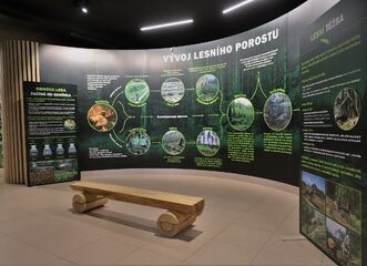 Lesy pro budoucnost / výstava Lesů ČR