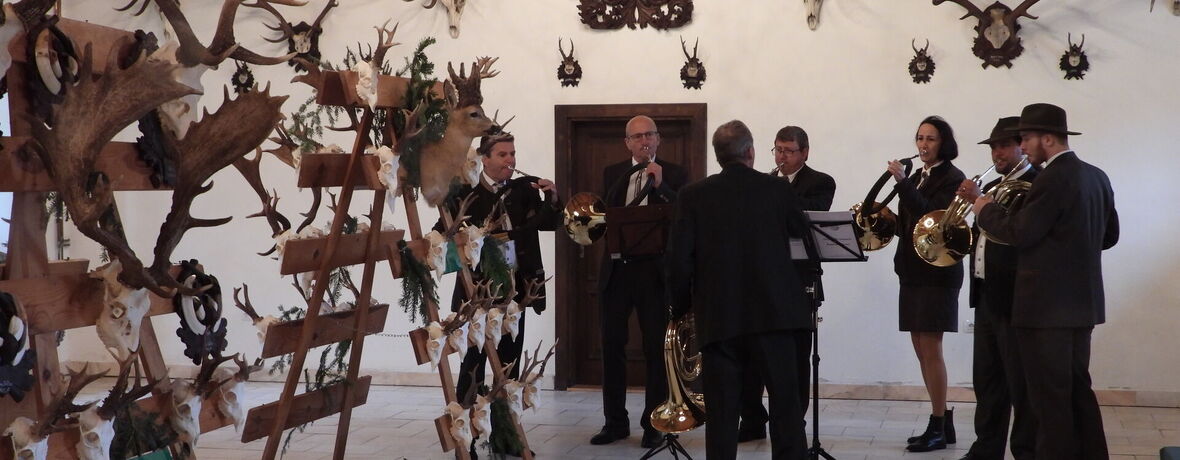 Národní zemědělské muzeum Ohrada zve na Lesnické dny. AVÍZO