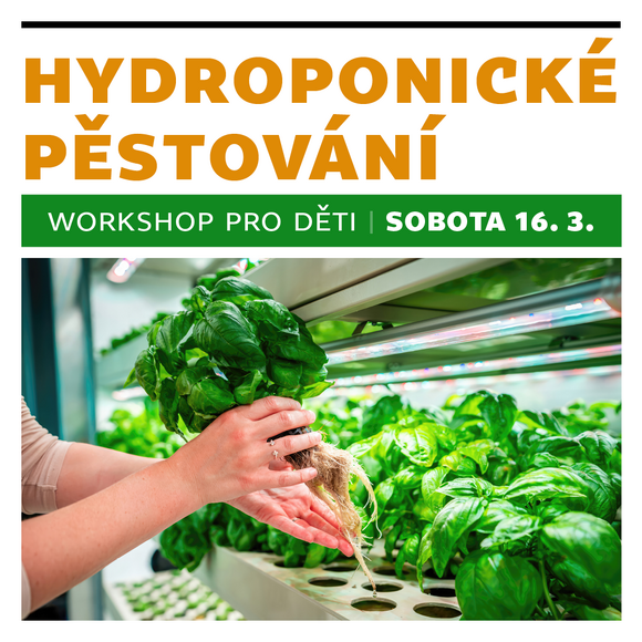 Hydroponické pěstování