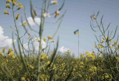 Ukrajinská pole orná a válečná