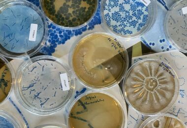 Neviditelní hrdinové kolem nás 11. a 12. 11. 2026