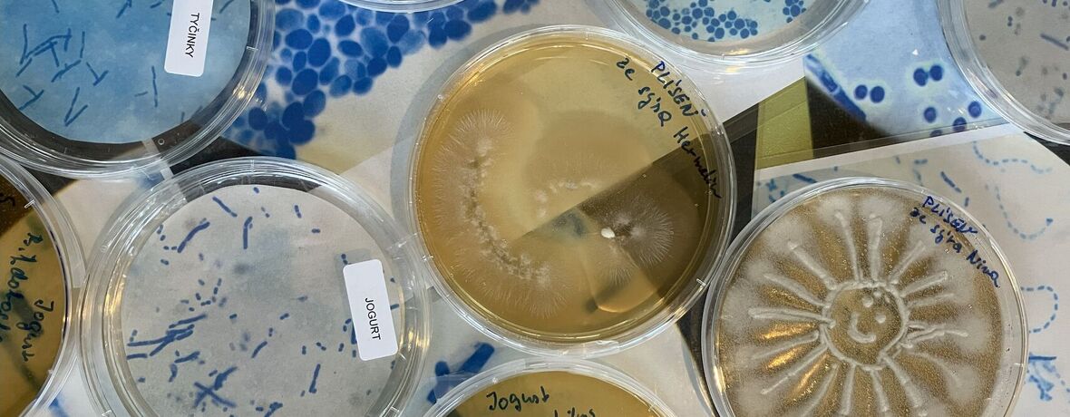 Neviditelní hrdinové kolem nás 11. a 12. 11. 2026