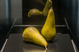 Галерея чеських продуктів харчування