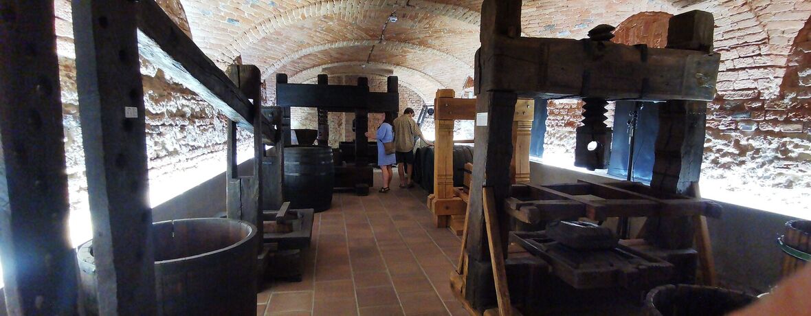 Národní zemědělské muzeum ve Valticích otevírá depozitáře a zve na komentované prohlídky. AVÍZO