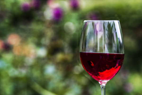Vinobraní NZM Kačina 2018