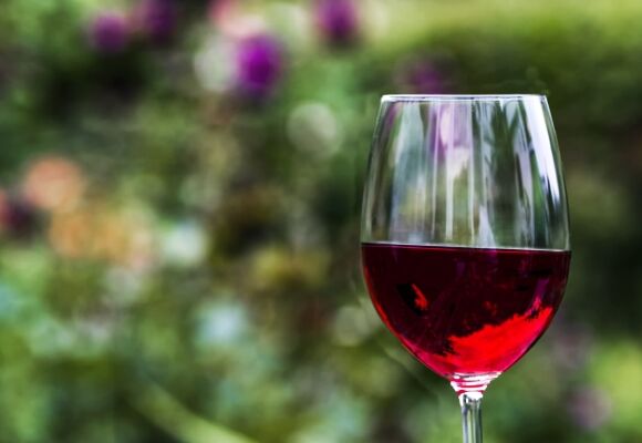 Vinobraní NZM Kačina 2018