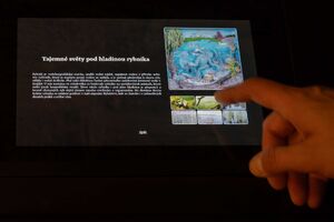 Muzejní pohádkové sklepy NZM Ohrada 