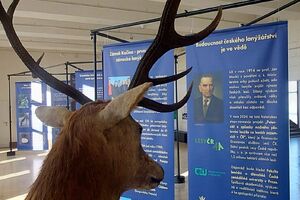  Výstava Tajemství českého lanýže NZM Praha 2026