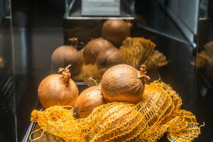 Галерея чеських продуктів харчування