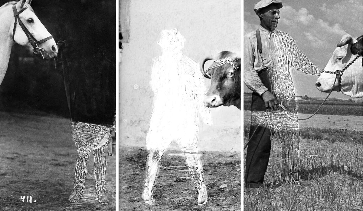 Ukryto v muzeu – výstava V2023011