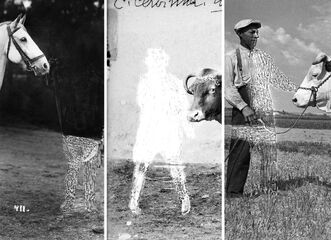 Ukryto v muzeu – výstava V2023011