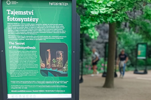 Fotosyntéza, výstava ve Valdštejnské zahradě Senátu Parlamentu ČR 2025