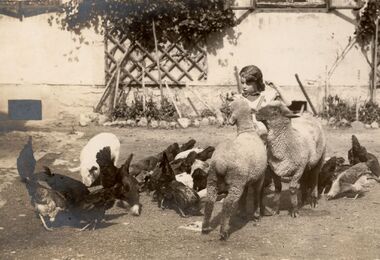 Malým hospodářem na vlastní kůži 24. 6. 2026