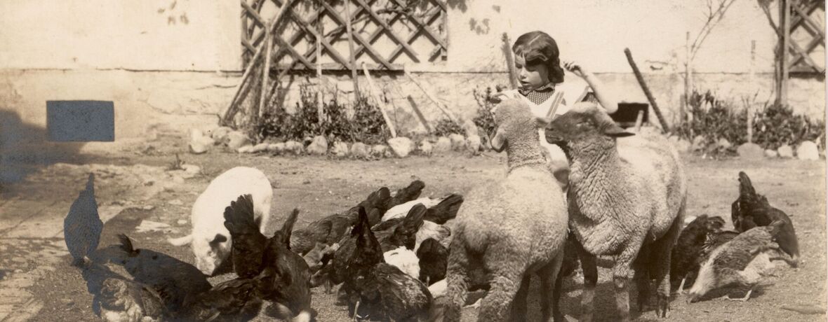 Malým hospodářem na vlastní kůži 24. 6. 2026