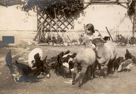 Malým hospodářem na vlastní kůži 24. 6. 2026 / POSLEDNÍ VOLNÉ MÍSTO