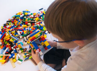 Hmyzí svět – stavíme z kostiček LEGO® | Jedu v medu