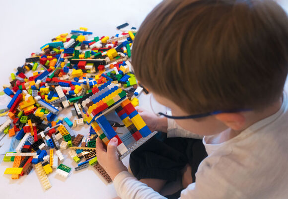 Hmyzí svět – stavíme z kostiček LEGO® | Jedu v medu
